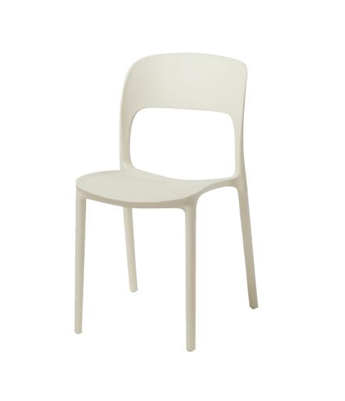 팬지1.jpg